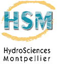 Logo HSM